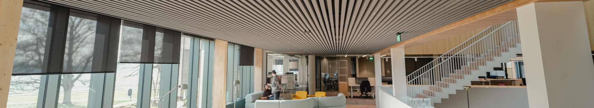 Plafond PareauLux website.png